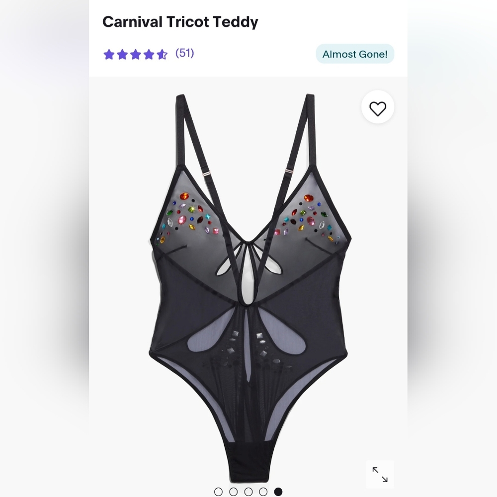 NWT SavageXFenty carnival lingerie